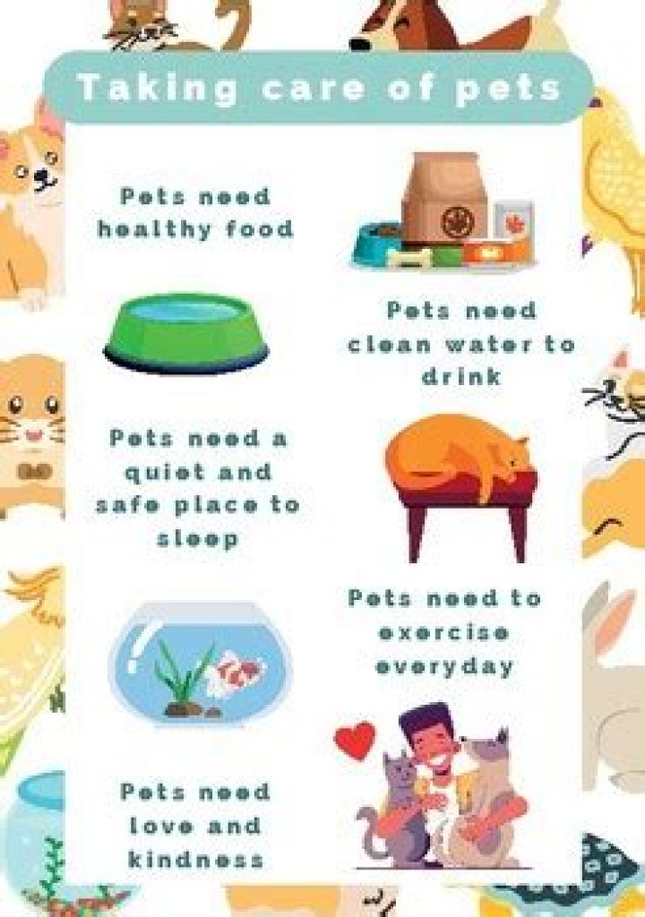 Hamsterxxx: The Ultimate Guide to Understanding and Caring for Your Pet