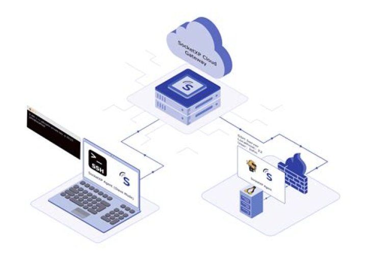 Use Remote IoT Web Based SSH to Remotely Access IoT Devices Server